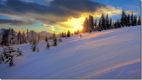 imagini iarna-munte-brazi