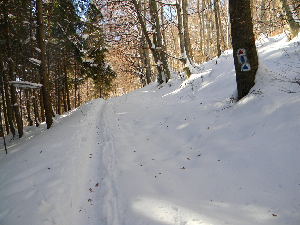 [DSCN69523.jpg]