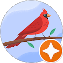 linda Bolzs profile picture