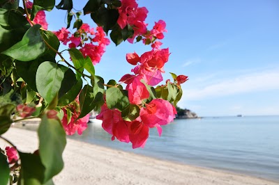 DSC_0136.JPG