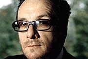 Elvis Costello