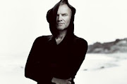 Sting