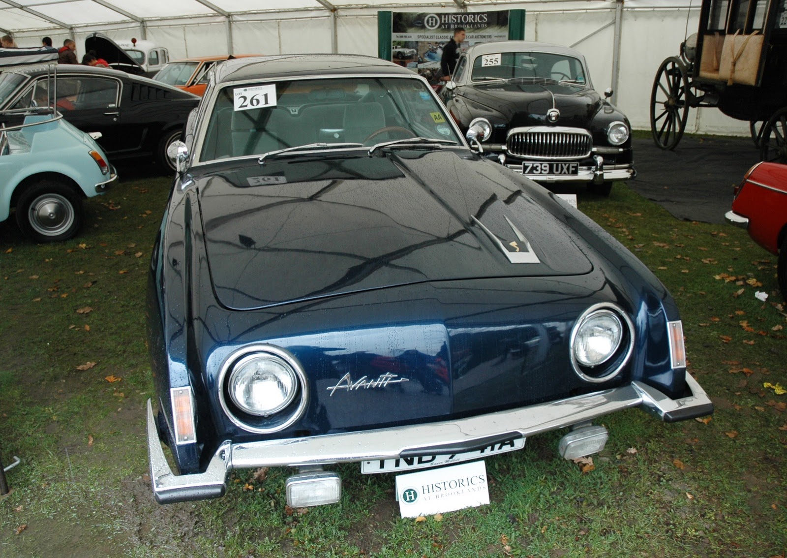 [Studbacker-1%255B2%255D.jpg]