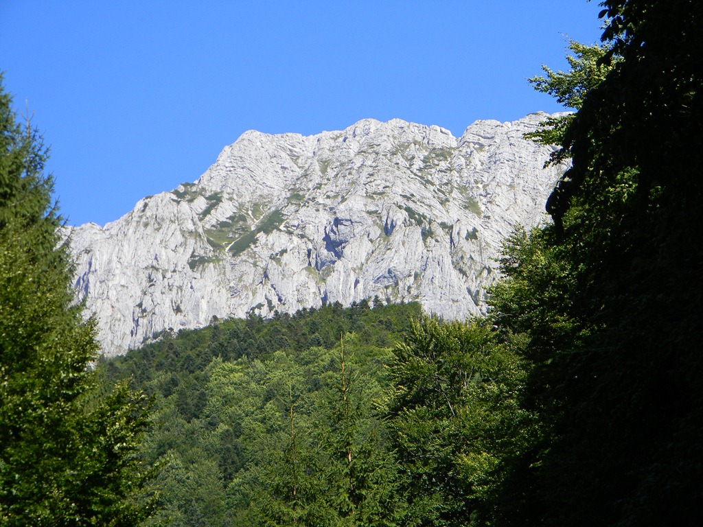 [DSCN19243.jpg]
