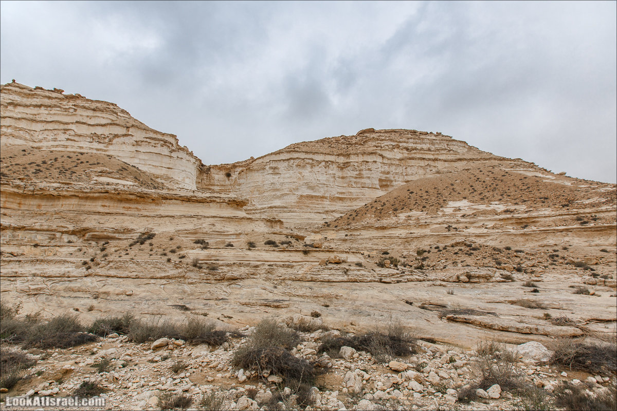 Ручей Акев и источник Эйн Акев в пустыне Негев. LookAtIsrael.com - Фото путешествия по Израилю