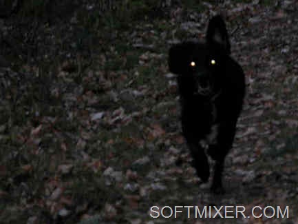 [44233245_sobaka_baskerviley%255B7%255D.jpg]