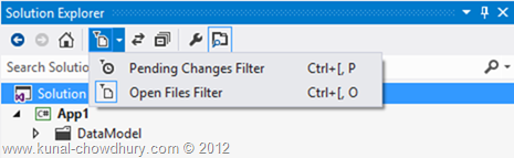 Filters in Visual Studio 2012 Solution Explorer