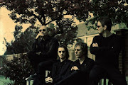 Porcupine Tree