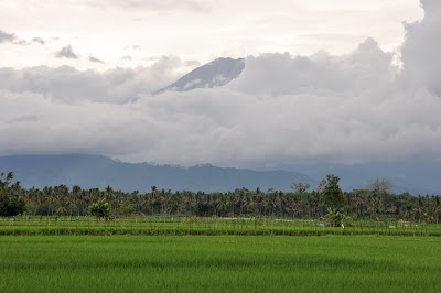 DSC_0923.JPG