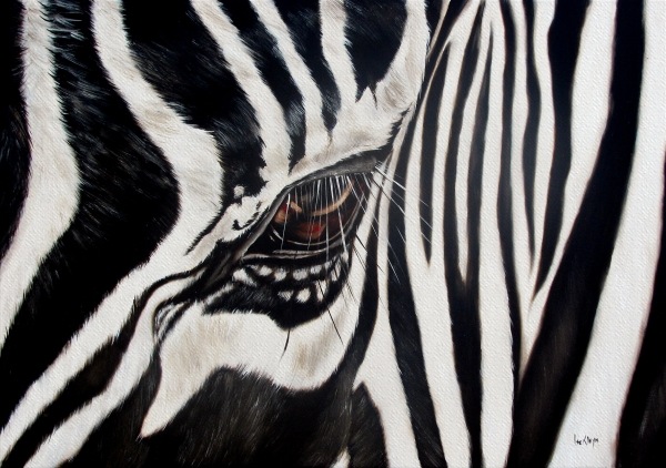 [zebra-eye-ilse-kleyn%255B4%255D.jpg]