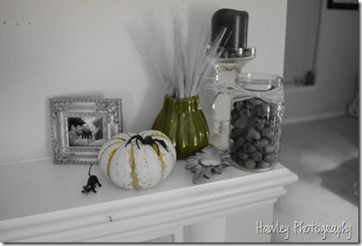 DSC_0101 DSC_0101