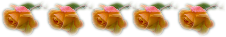 rt-.png