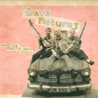 Great Big Flamingo Burning Moon