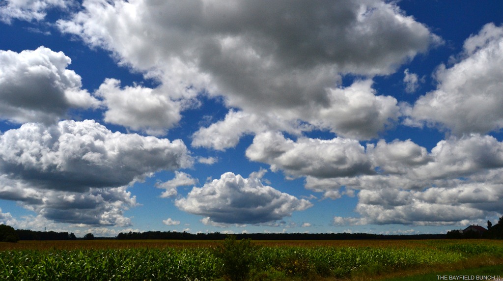 [DSC_0086%255B4%255D.jpg]