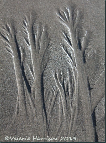 26-sand-trees
