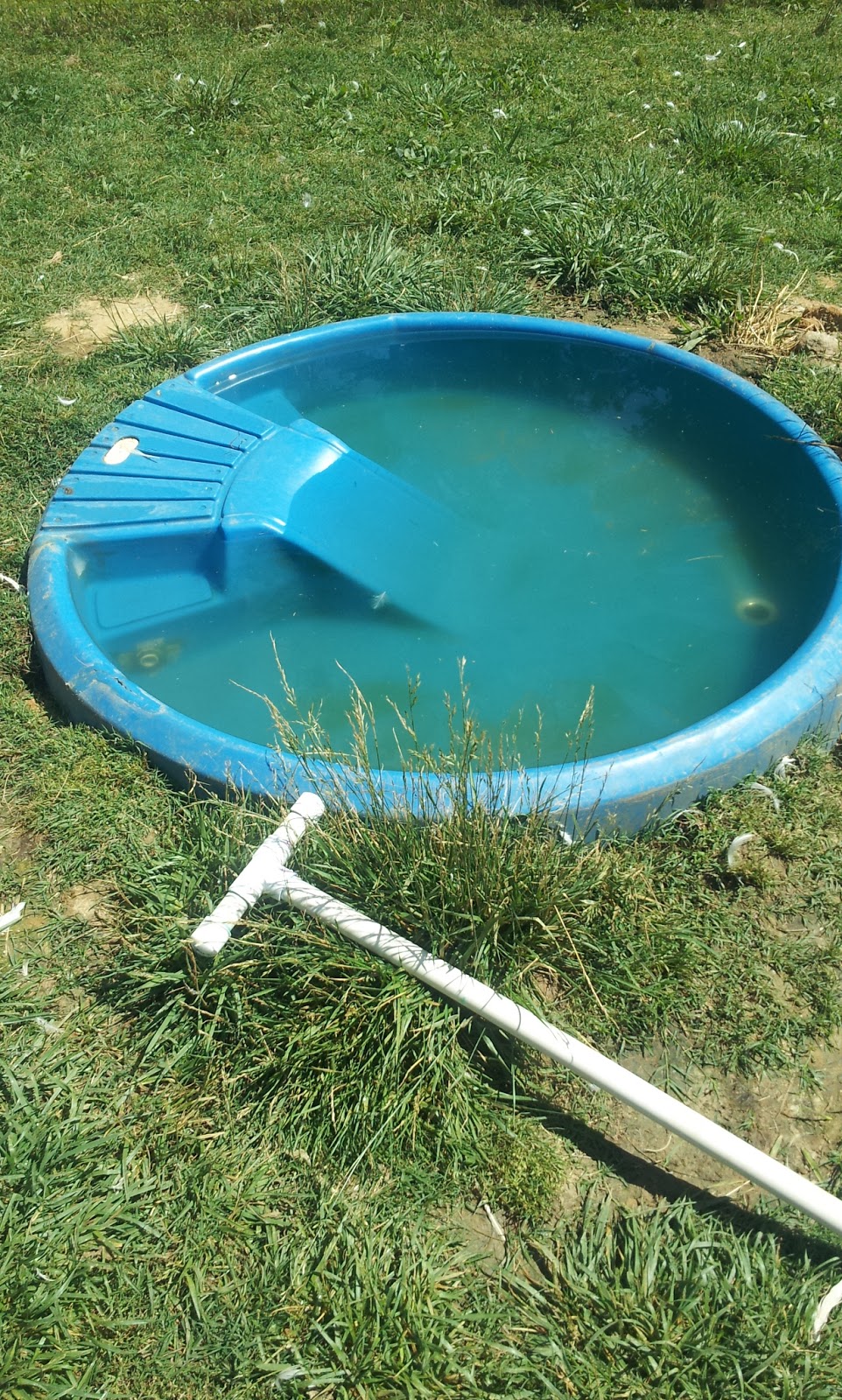 Bubblegum and Shoestring filling the water tower at Seven