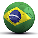 Fixture Brazil 2014
