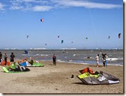IMG_0438 IMG_0438