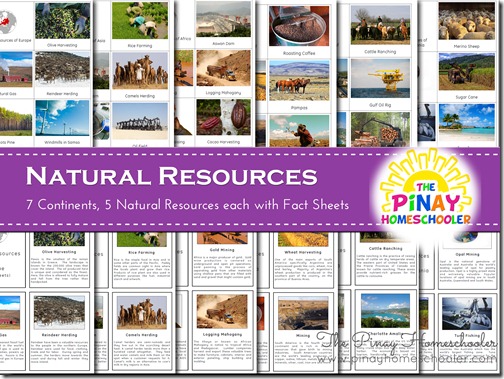 Natural Resources copy