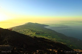 IMG_2211 IMG_2211