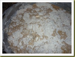 Pane integrale con pasta madre ai semi di sesamo (2)