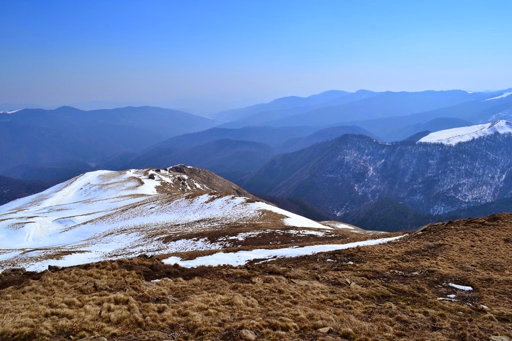 [DSC_58383.jpg]