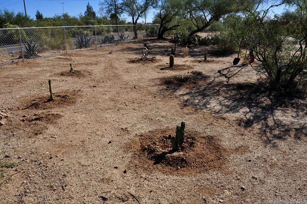 [DSC_0011%255B5%255D.jpg]