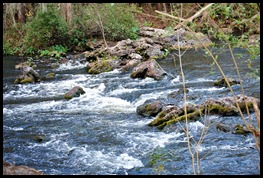 02e- River Rapids Trail - Rapids