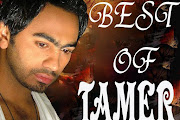 Tamer