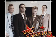 Dog Fashion Disco