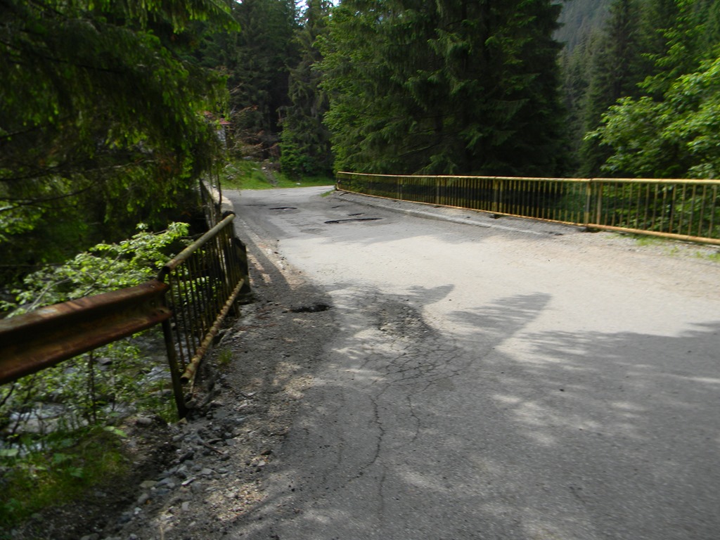 [DSCN16513.jpg]