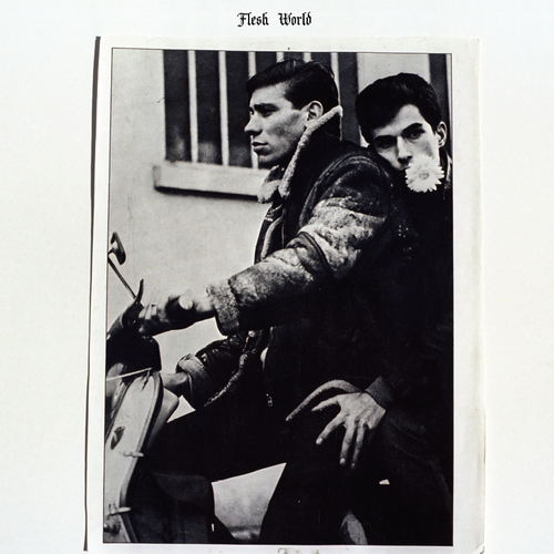 Flesh World