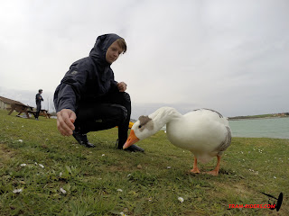 20140330_La_ganguise_003.JPG - DCIM\100GOPRO