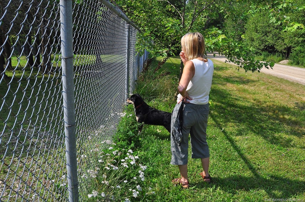 [DSC_0015-002%255B3%255D.jpg]