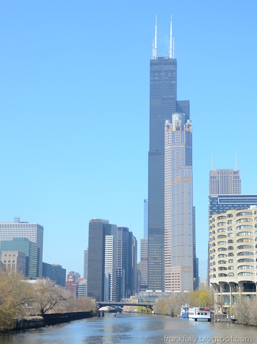 The Sears (Willis) Tower from the Chicago River