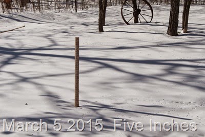 March 5 2015  5 inches of snow