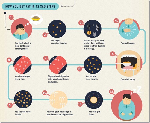 12 steps to fat