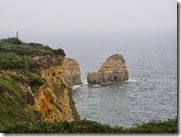 IMG_1768 IMG_1768