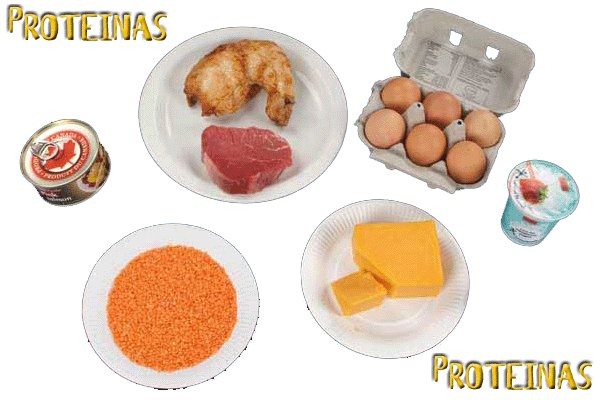 alimentos ricos en proteinas