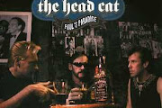 The Head Cat