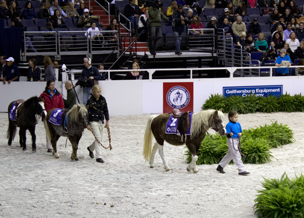 WIHS 2013 Thursday