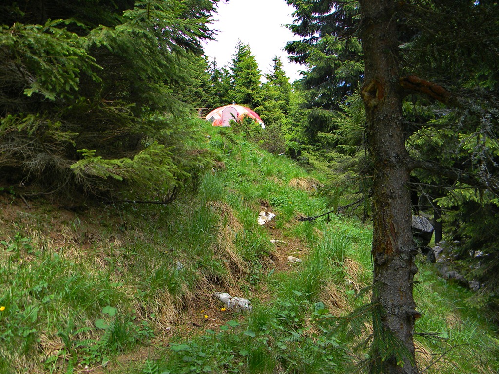 [DSCN21713.jpg]