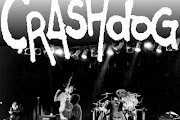 Crashdog