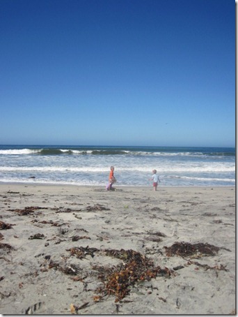2013-04-10 Coronado Beach (19)