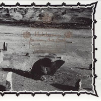 Uzbekistani Bizarre and Souk