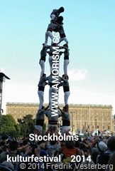 bm-image-730634 Stockholms kulturfestival år 2014.jpg
