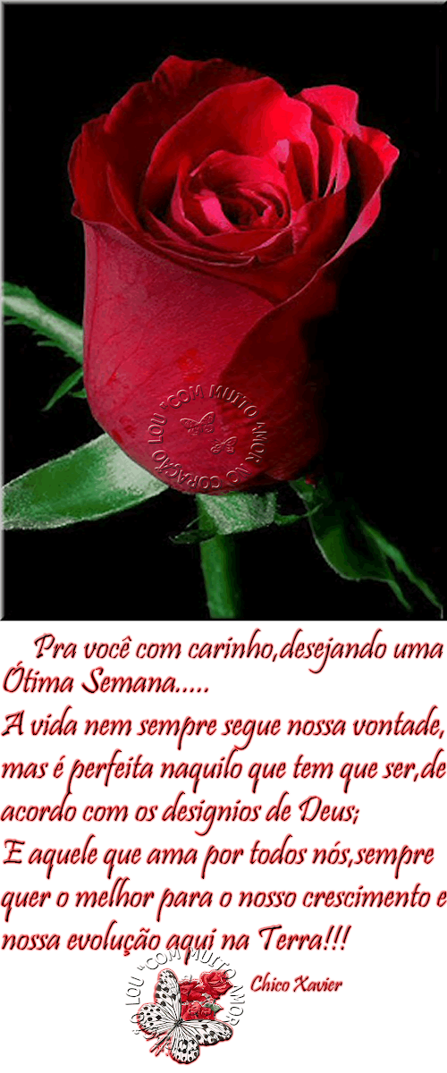 rosasemana2.png