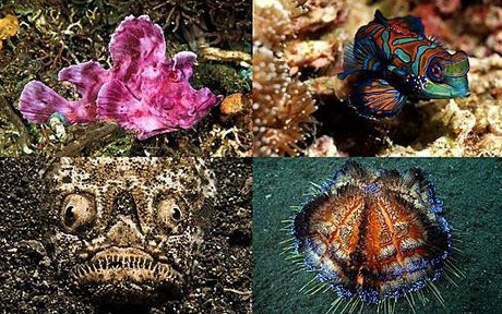 [2011-07-26_111442%255B3%255D.jpg]