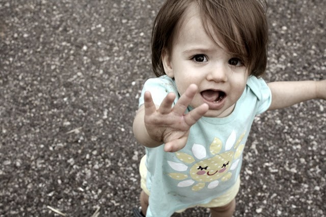 [IMG_77623.jpg]