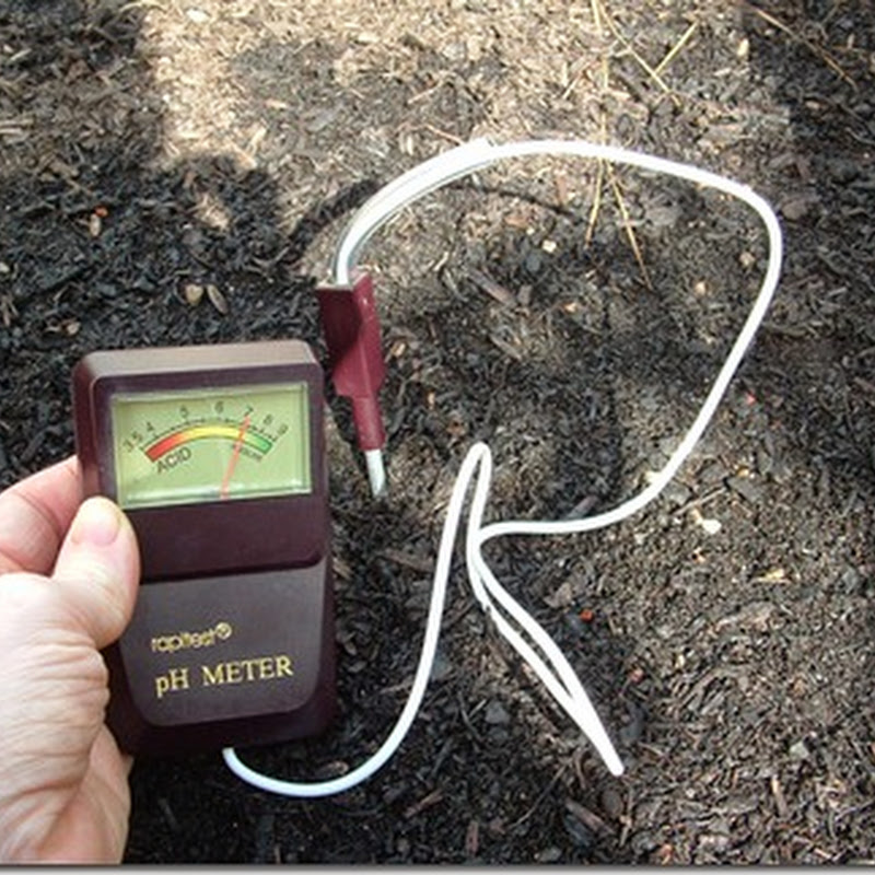 Why is soil pH level important?